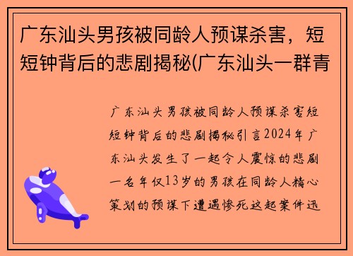 广东汕头男孩被同龄人预谋杀害，短短钟背后的悲剧揭秘(广东汕头一群青少年深夜持刀斗殴)